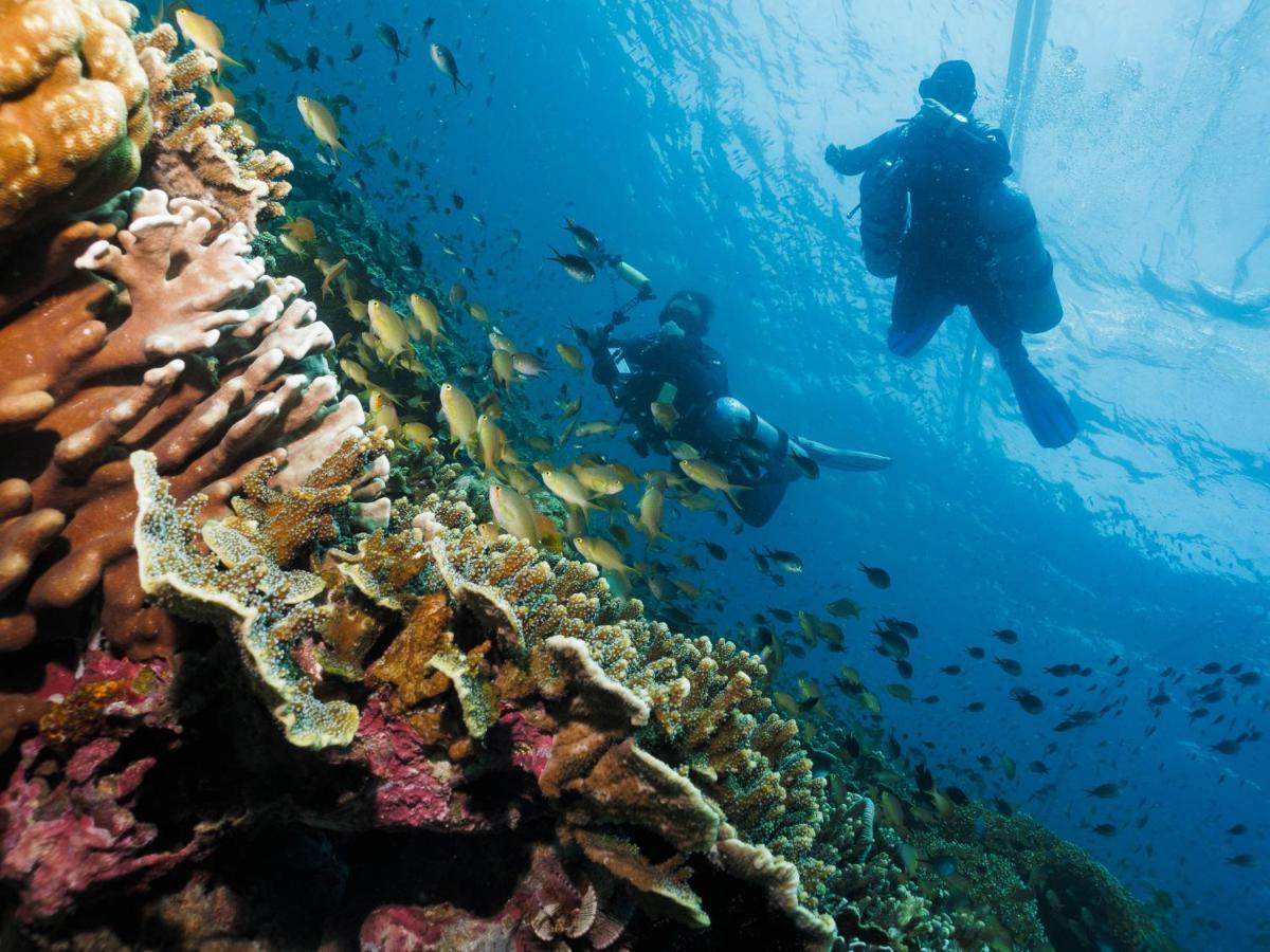 Cebu Seaview Dive Resort Moalboal Exterior foto